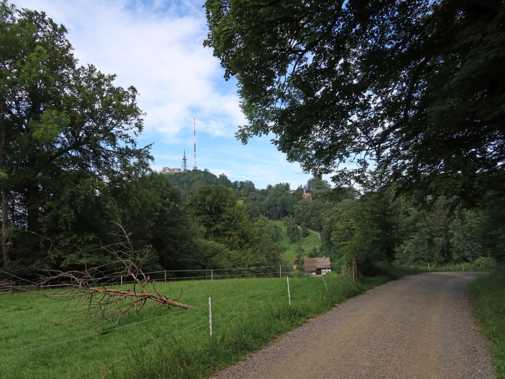 Blick Richtung Uetliberg