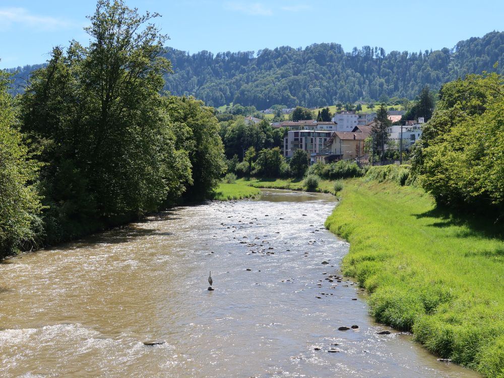 Reiher in der Sihl