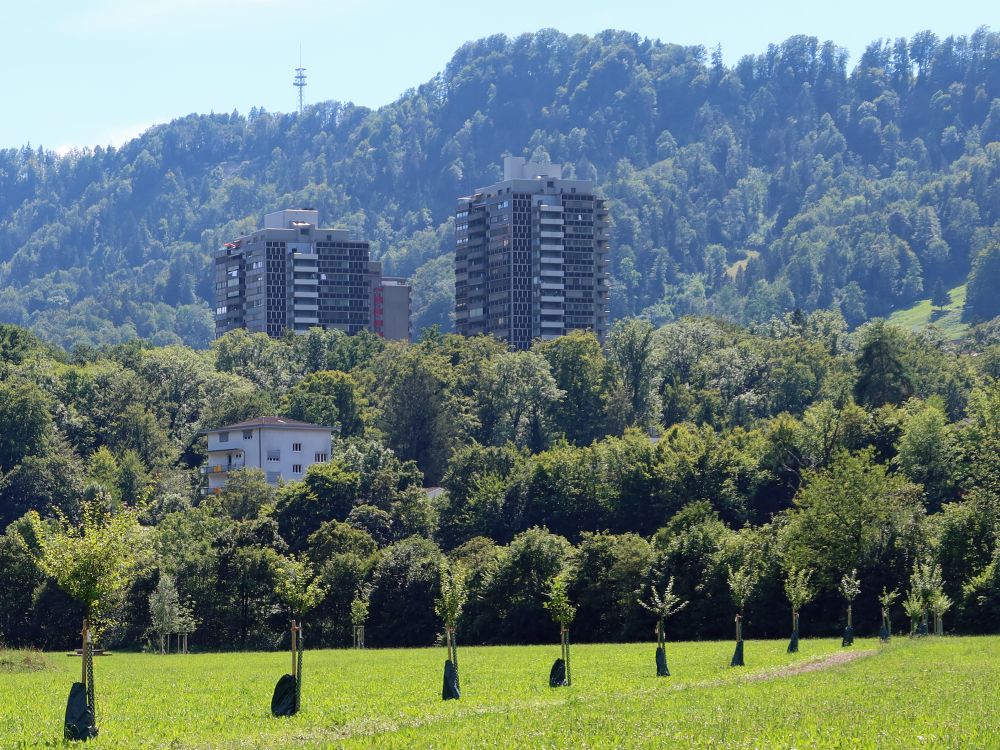 Hochhäuser in Leimbach