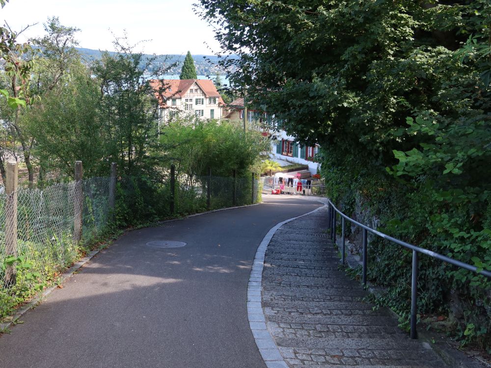 Treppe an der Widmerstrasse