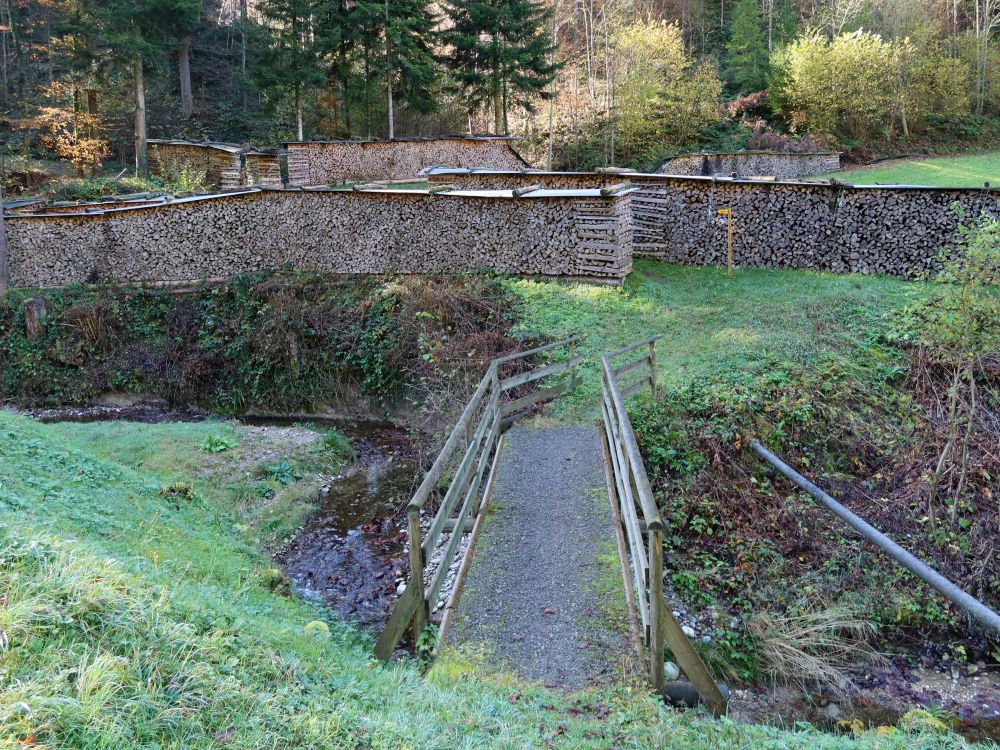 Steg übern Wiesenwaldbach