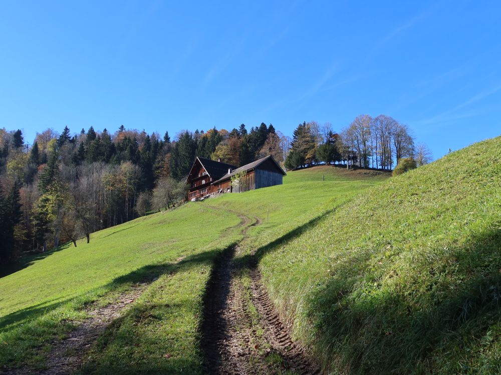 Bauernhof am Halsweg