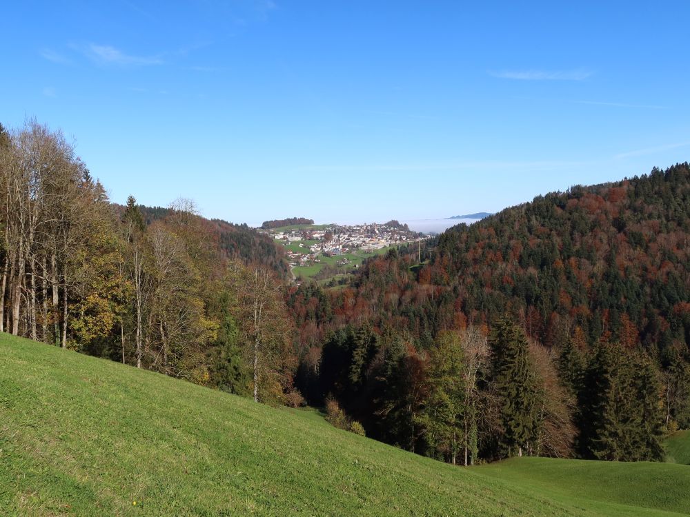 Blick Richtung Degersheim