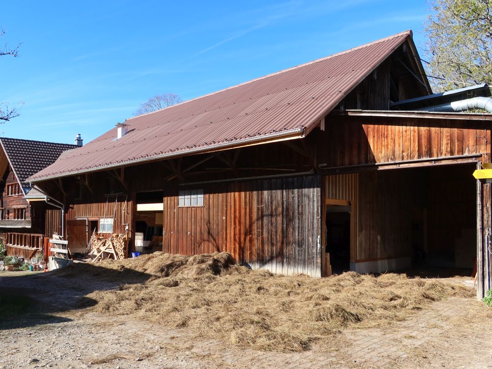 Grastrocknung bei Hof Hals