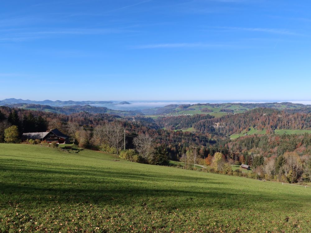 Nebel in den Niederungen