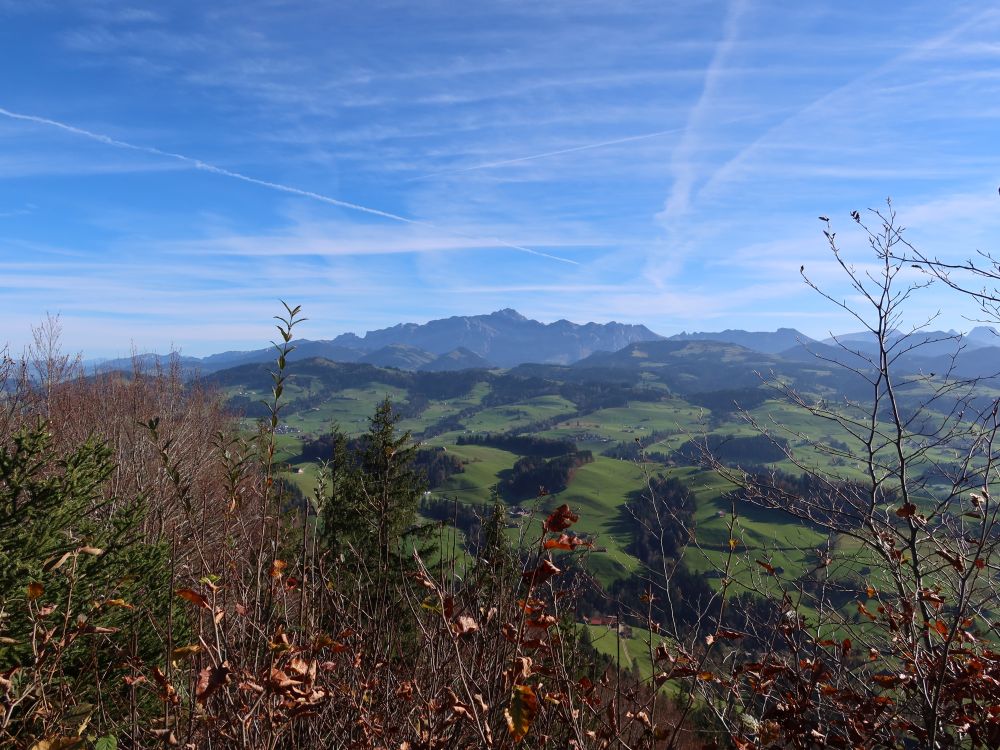 Blick Richtung Säntis