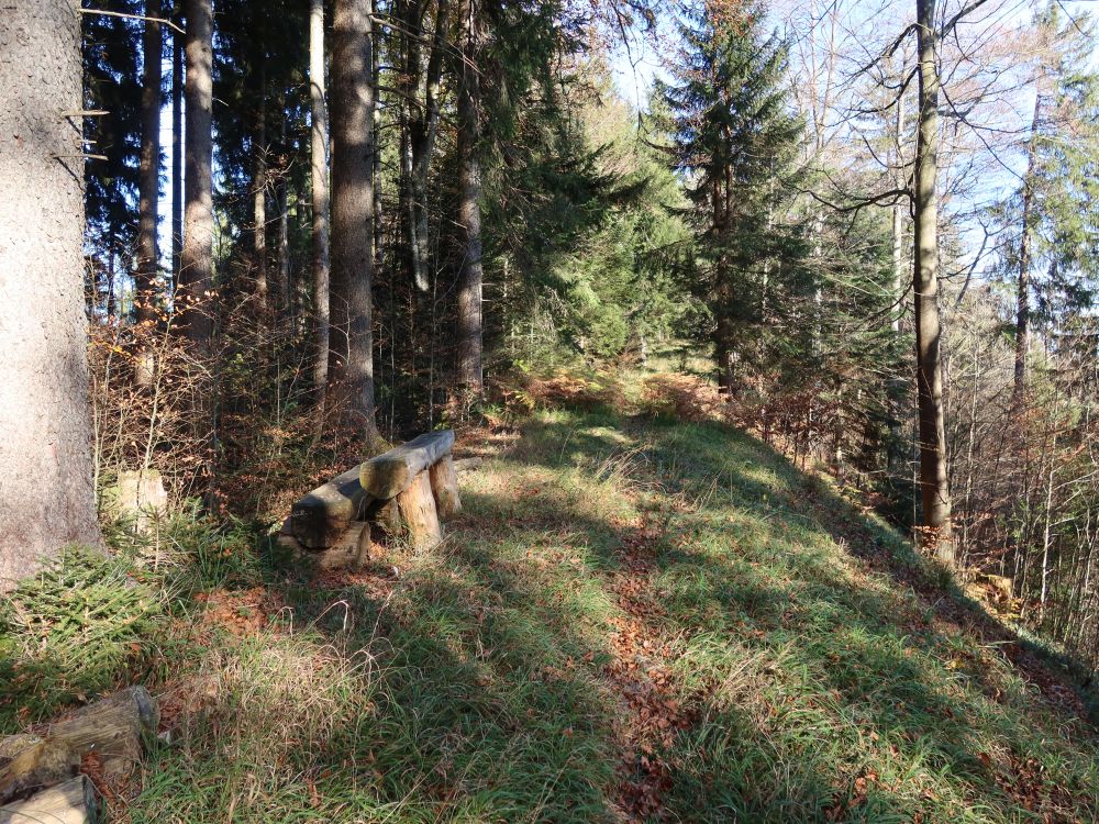 Sitzbank am Höhenweg