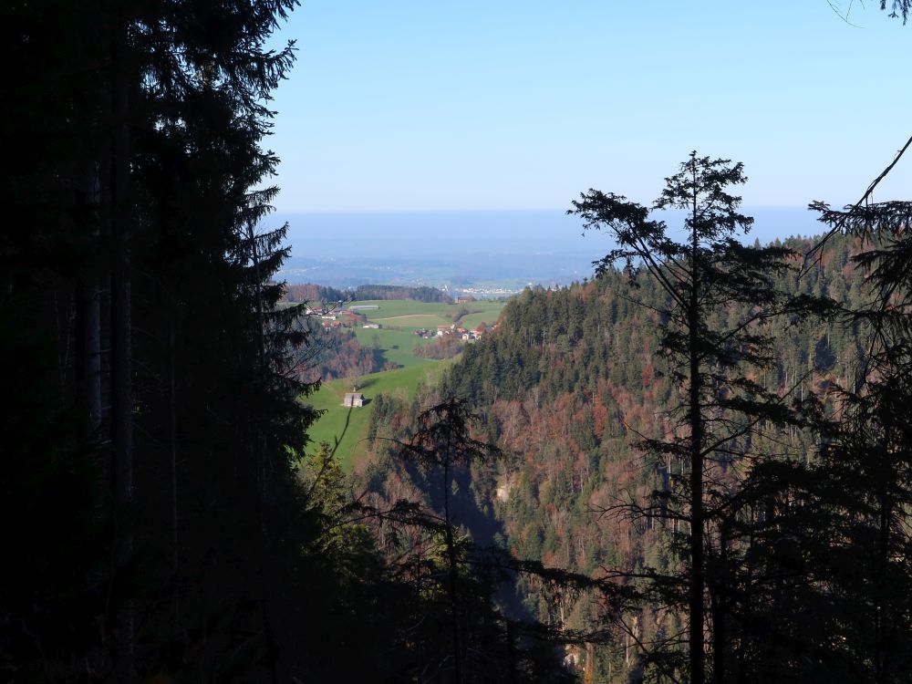 Blick durch die Baumlücke