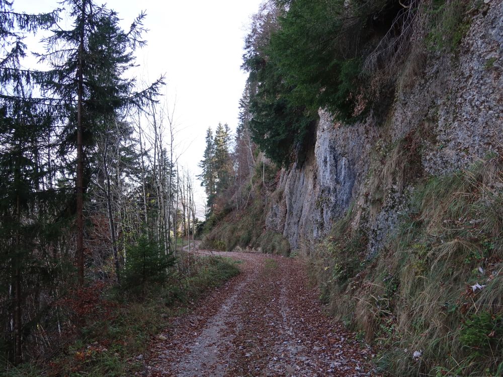 Weg an der Felswand