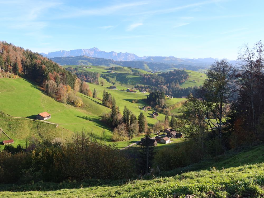 Blick Richtung Säntis