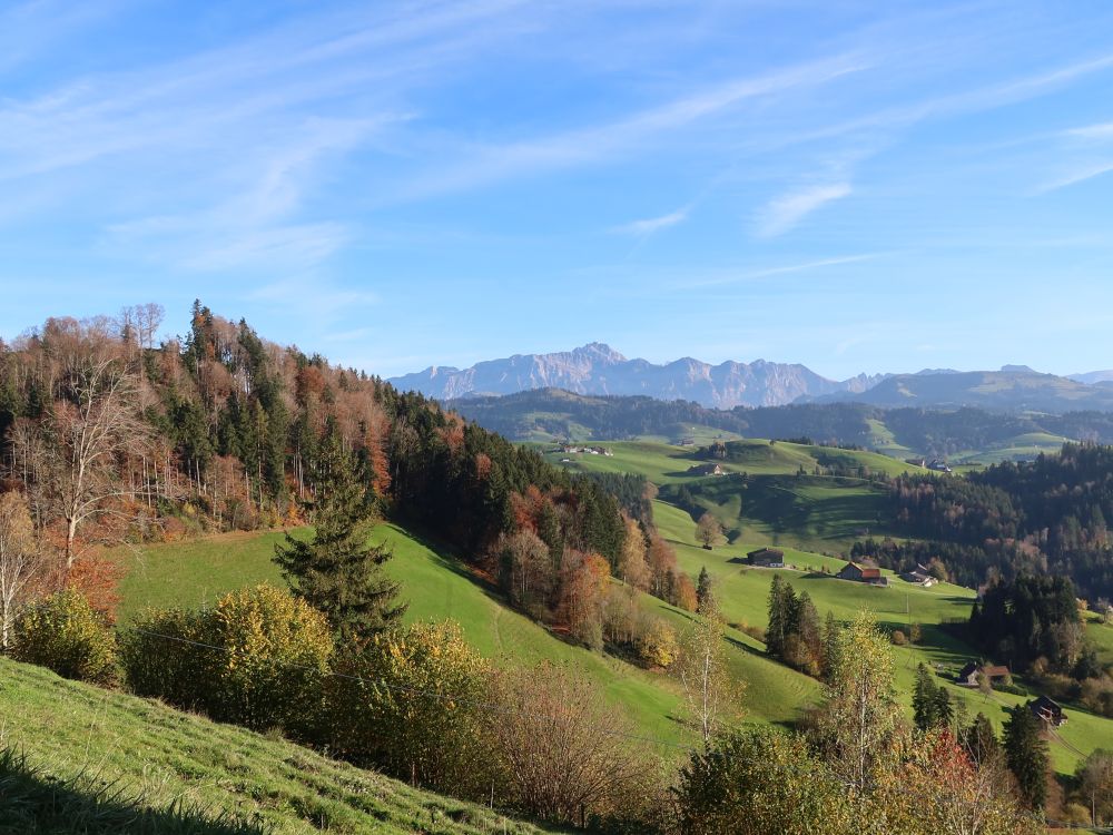 Blick Richtung Säntis