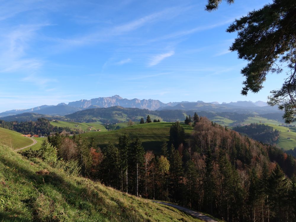 Blick Richtung Säntis