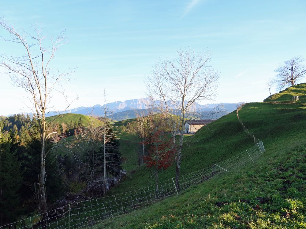 Blick Richtung Säntis