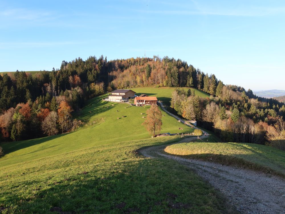 Bauernhof unterhalb Fuchsackerhöchi