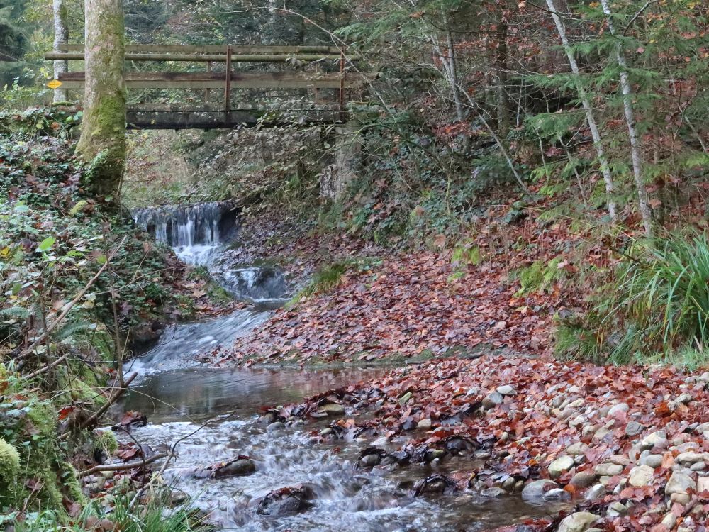 Steg übern Wiesenwaldbach