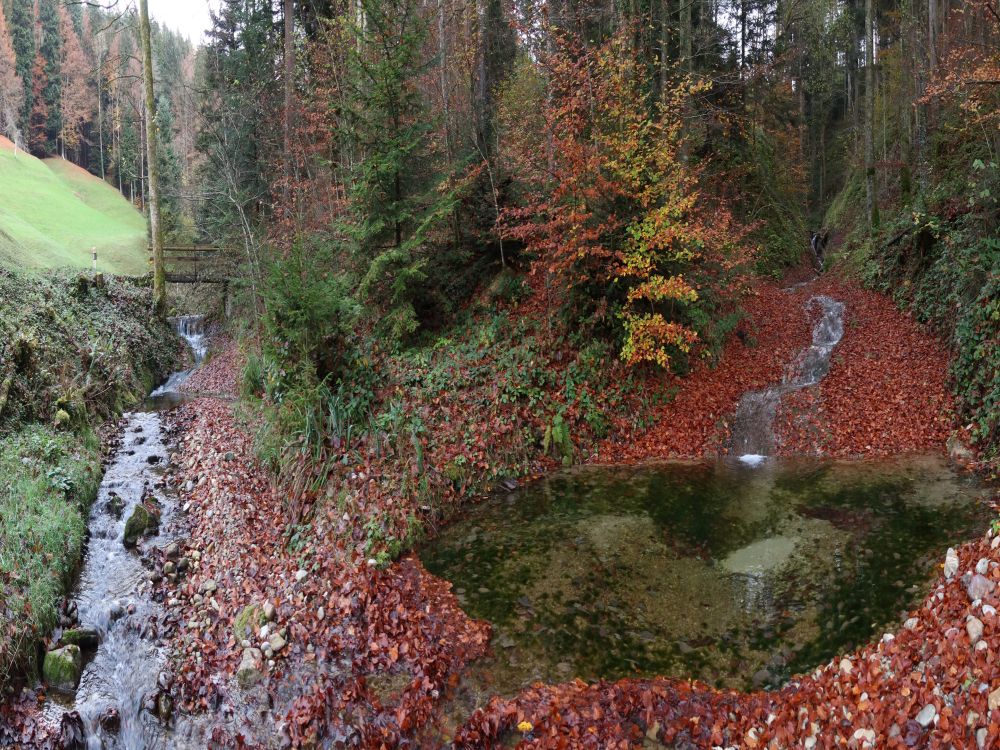 Wiesenwaldbach und Chubelbach