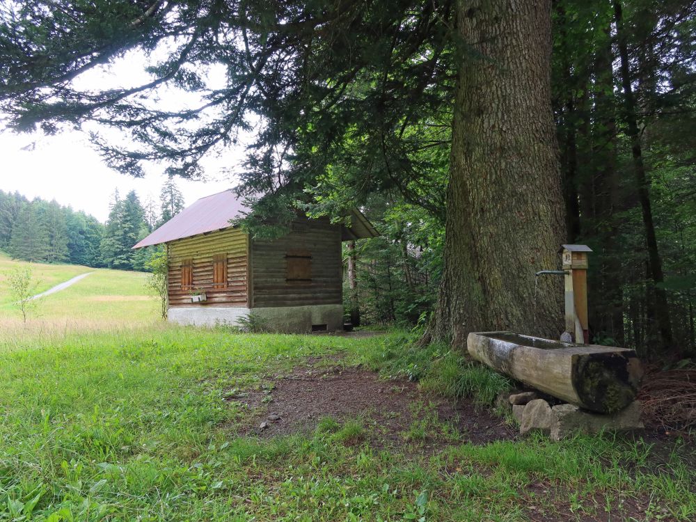 Waldhäuschen und Brunnen