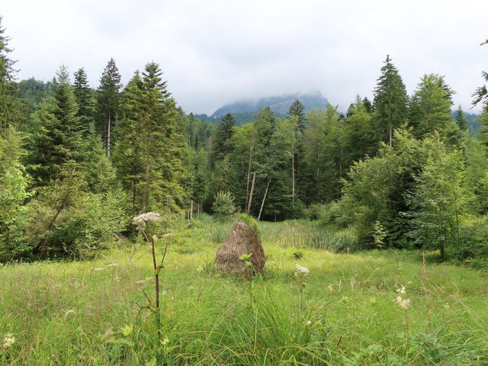 Heuschochen und Pilatus in Wolken