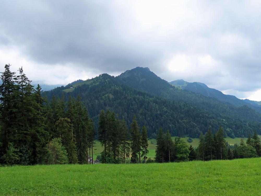 Blick Richtung Regenflüeli