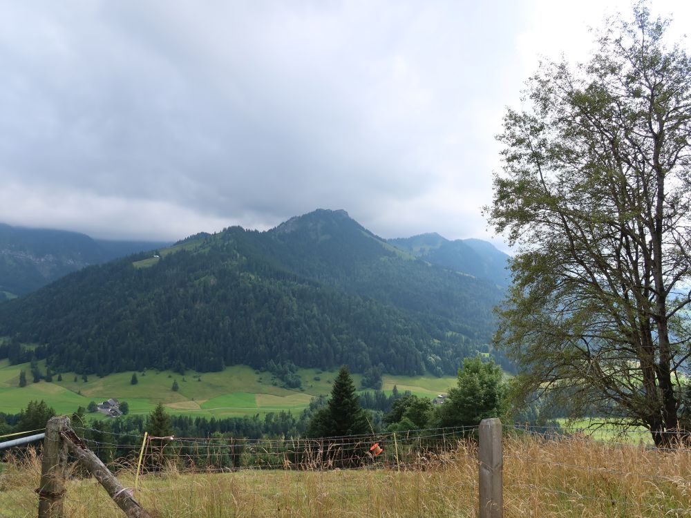 Blick Richtung Regenflüeli