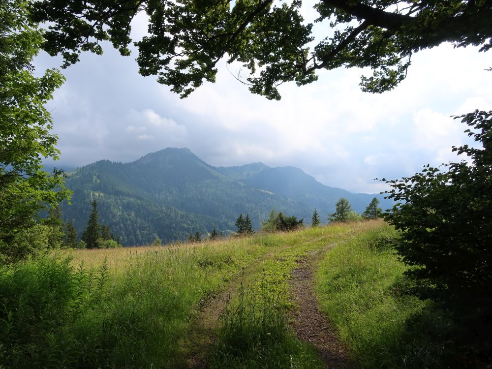 Blick Richtung Studberg