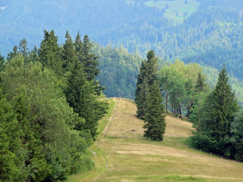 Landschaft unterm Würzenegg