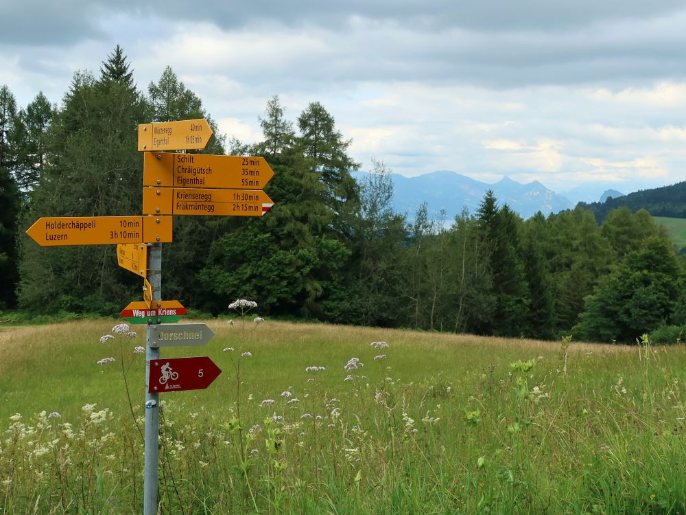 Wanderwegweiser und Teil der Rigi