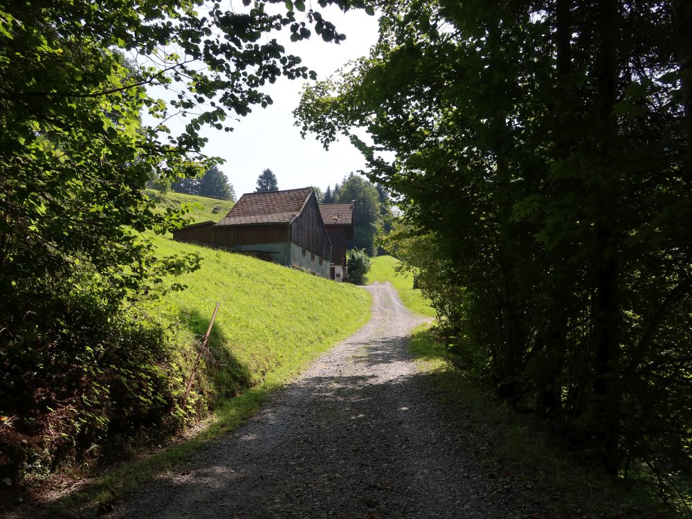 Bauernhaus bei der Oderdachbrücke