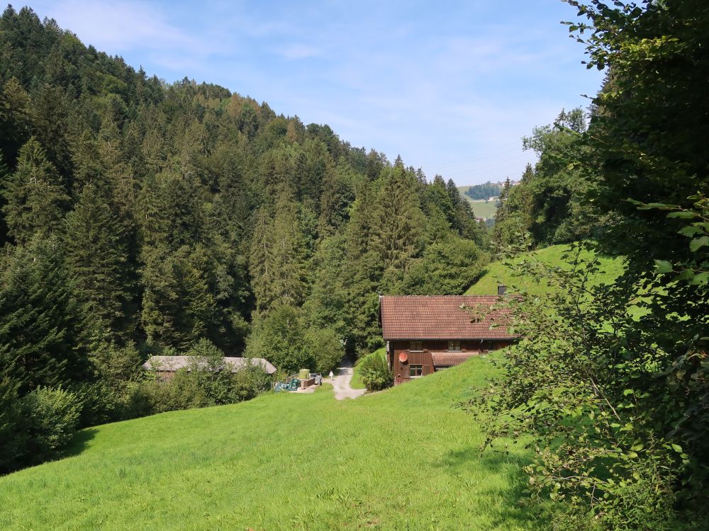 Oberdachbrücke und Bauernhaus