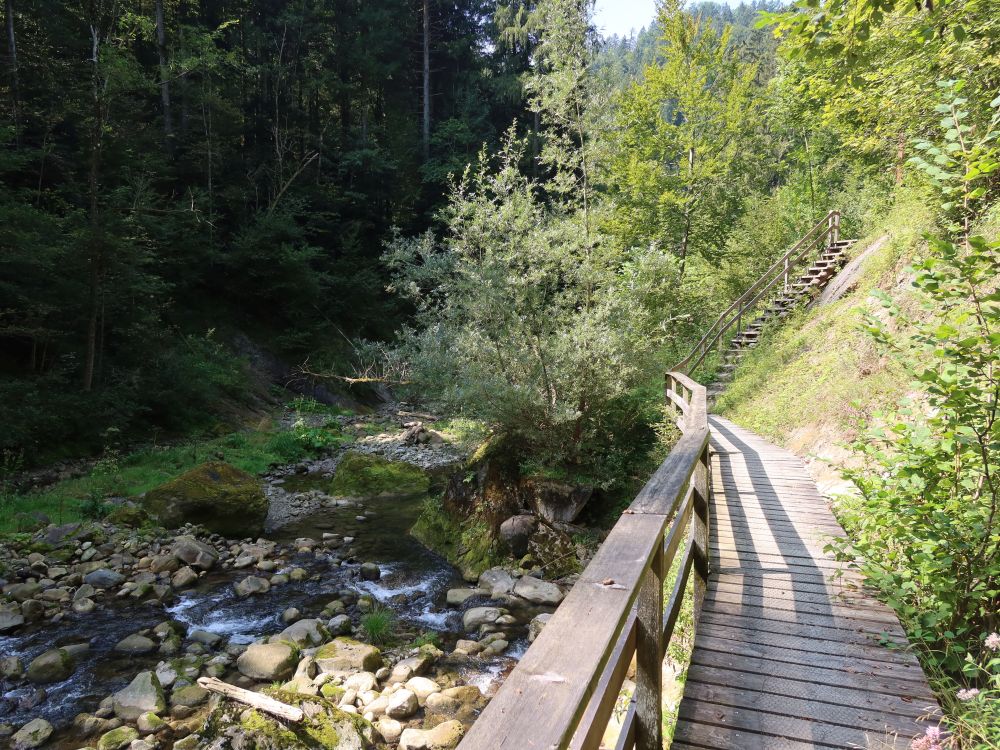 Steg und Treppe an der Goldach