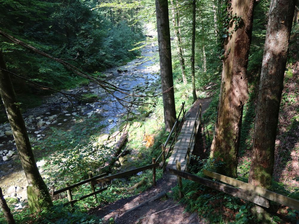 Treppe und Steg an der Goldach