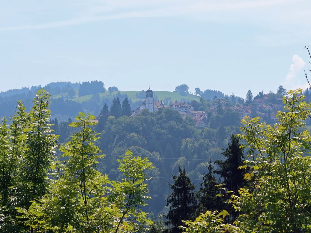 Blick Richtung Trogen