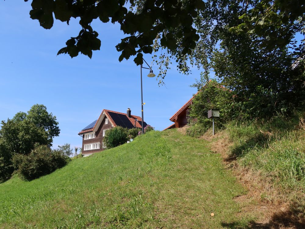 Wiesenpfad bei Lobenschwendi