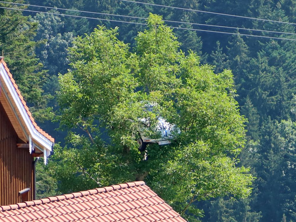 VW-Käfer aud dem Baum bei Weid