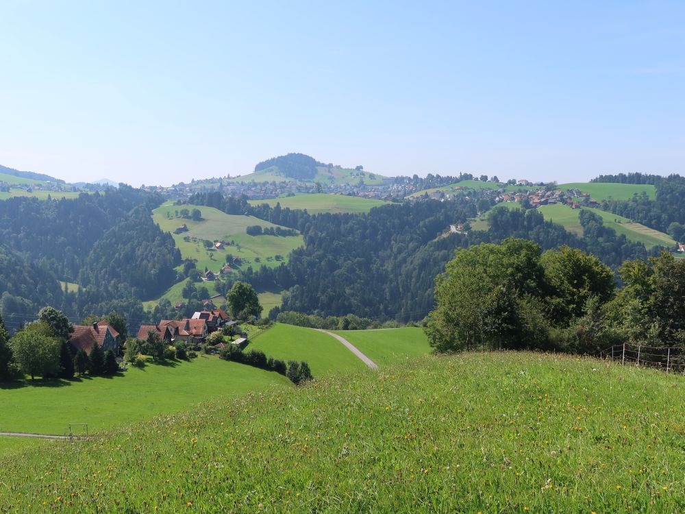 Lobenschwendi mit Speicher am Horizint