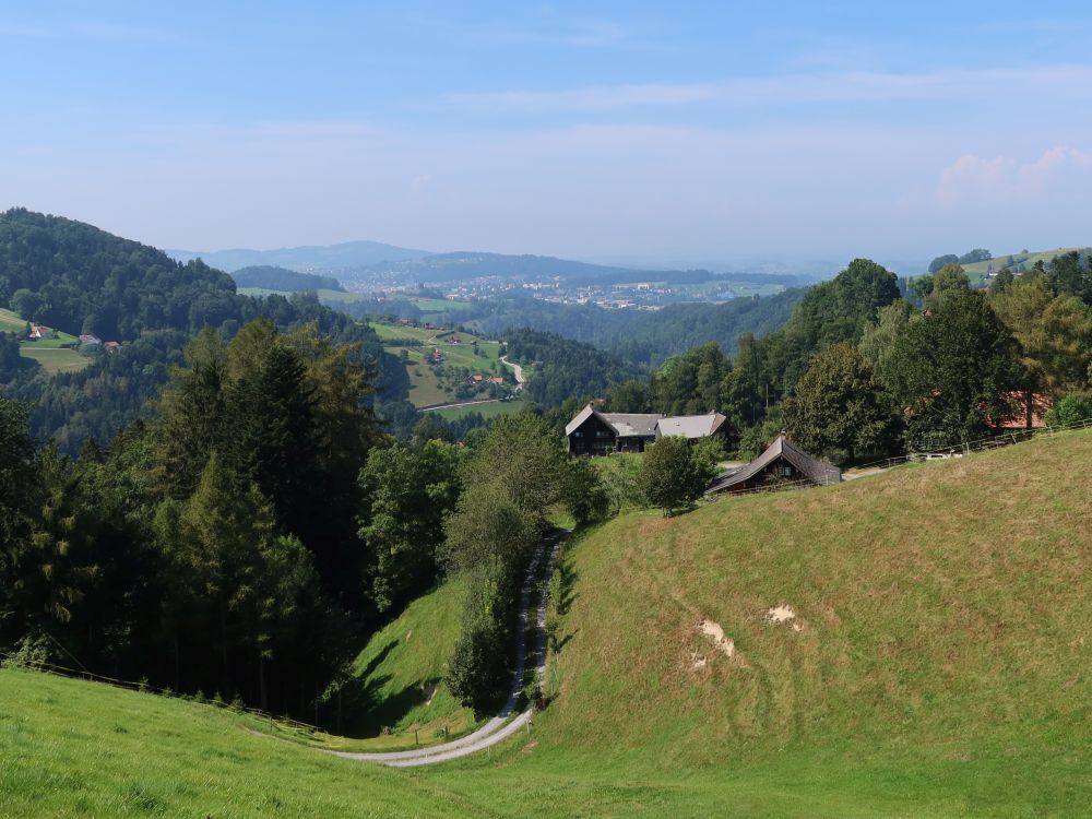 Untere Cholenrüti