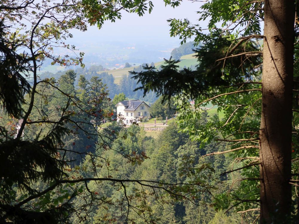 Haus bei Midegg zwischen den Zweigen