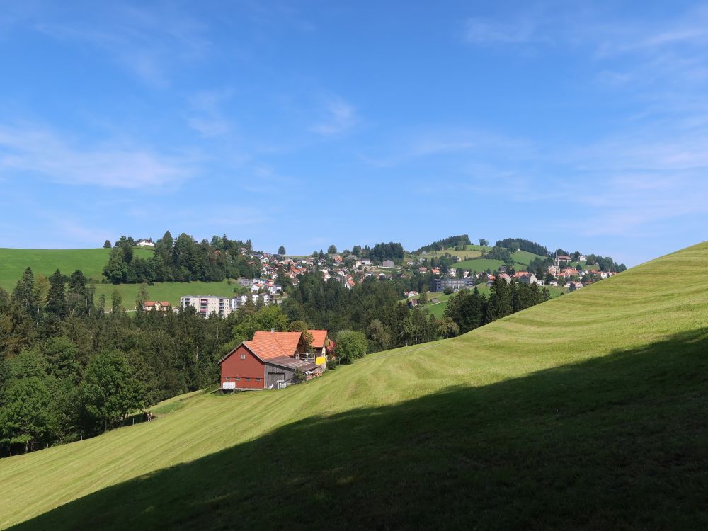 Cholenrüti und Rehetobel im Hintergrund