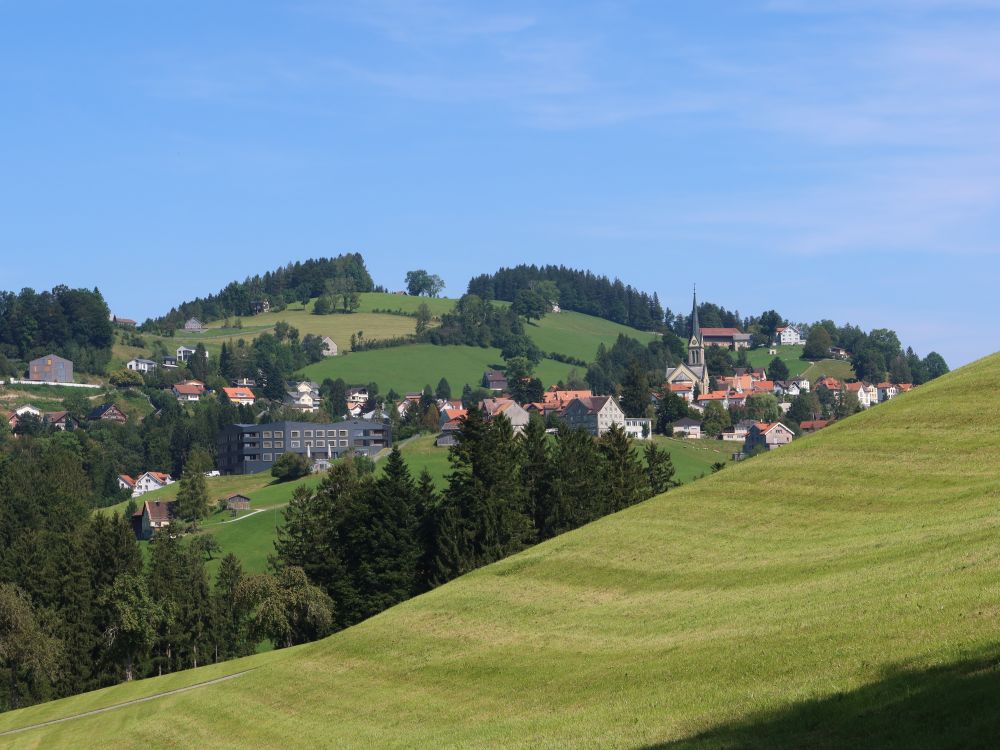 Blick Richtung Rehetobel