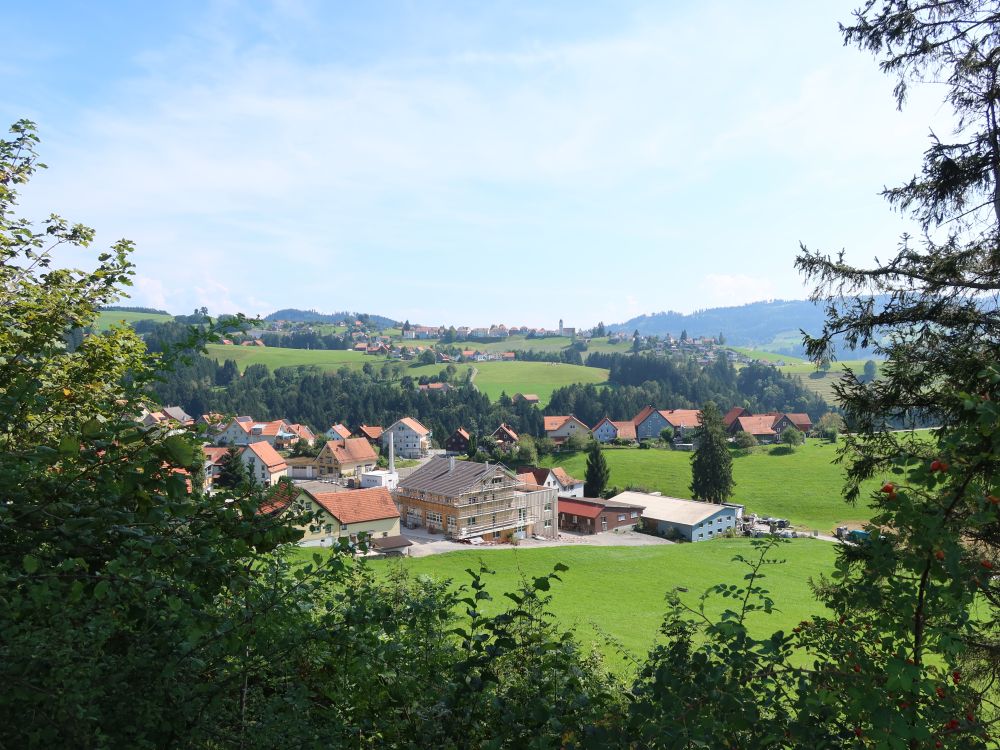 Häuser von Rehetobel vorne und Wald im Hintergrund