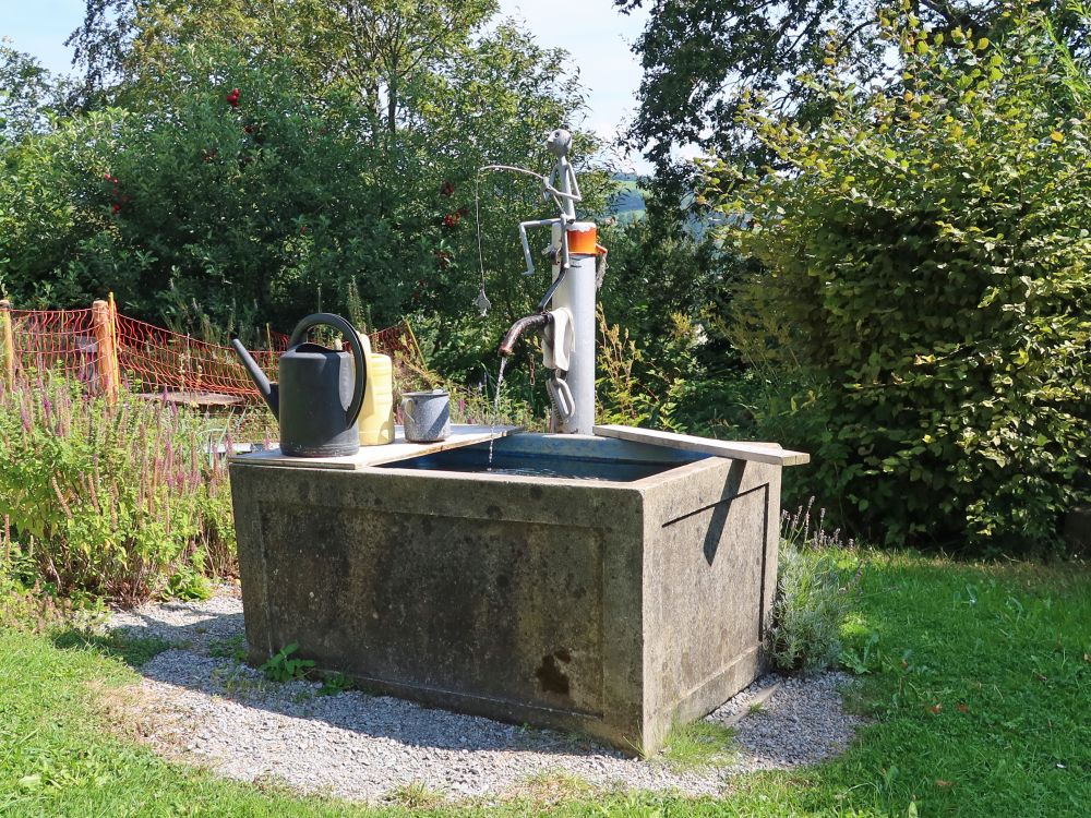 Brunnen mit Anglerfigur