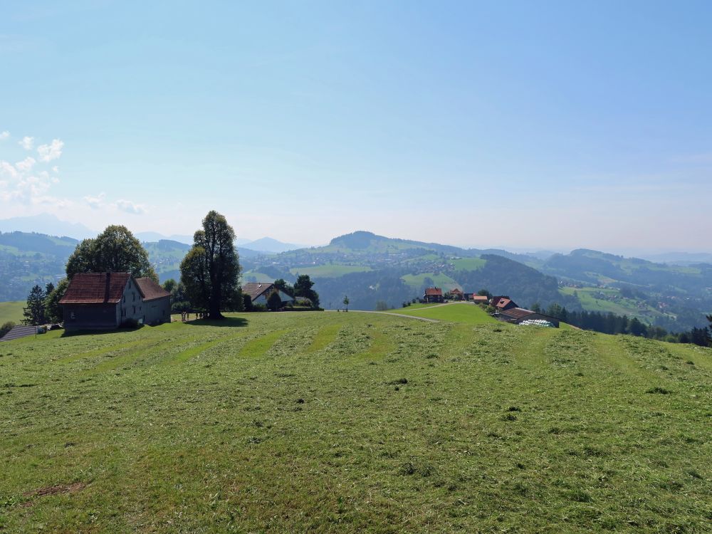 Musterplatz und Neuschwendi