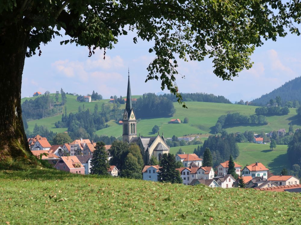 Kirche unterm Baum