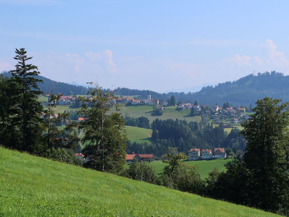 Blick Richtung Wald