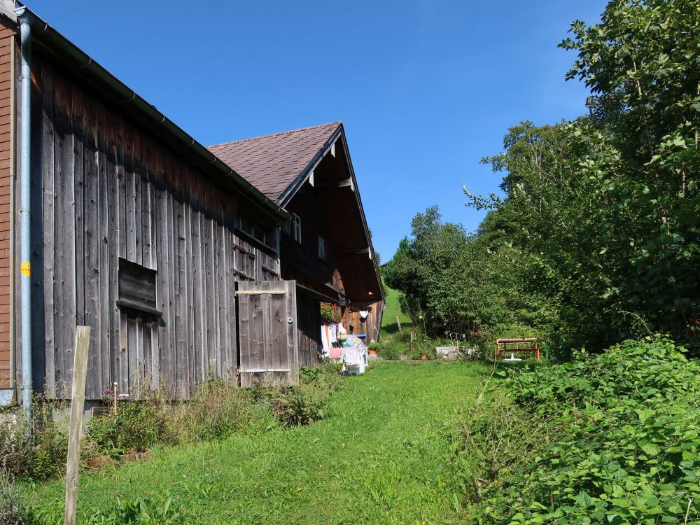 Wanderweg am Holzhaus