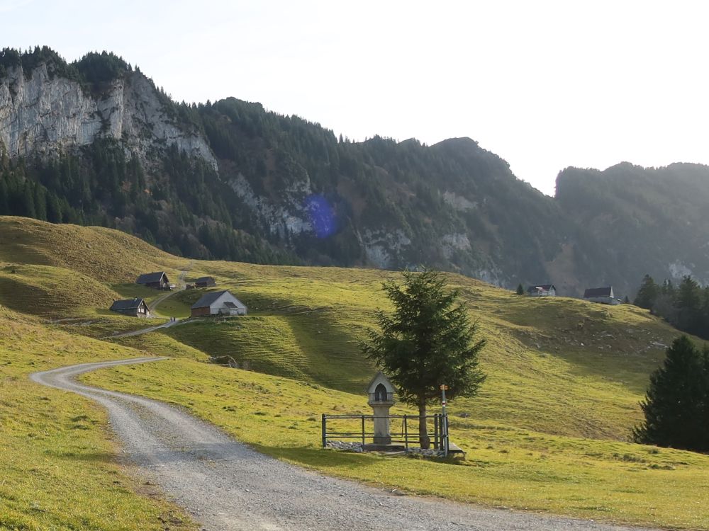 Blick auf Hasenplatte