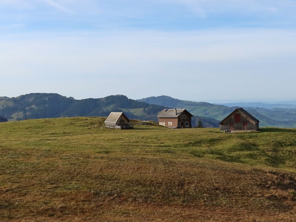 Steig und Hundwiler Höhe am Horizont