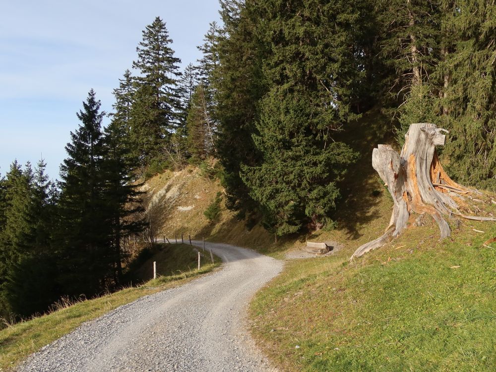 Bergweg bei Hüttenbüel
