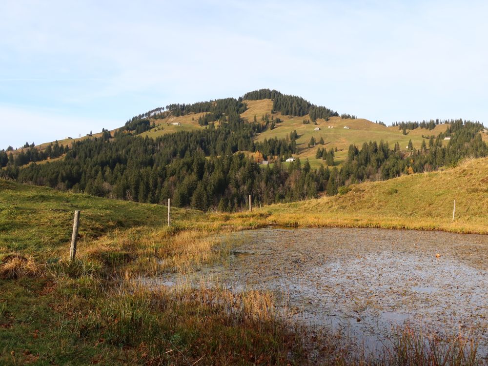 Teich mit Fänerenspitz