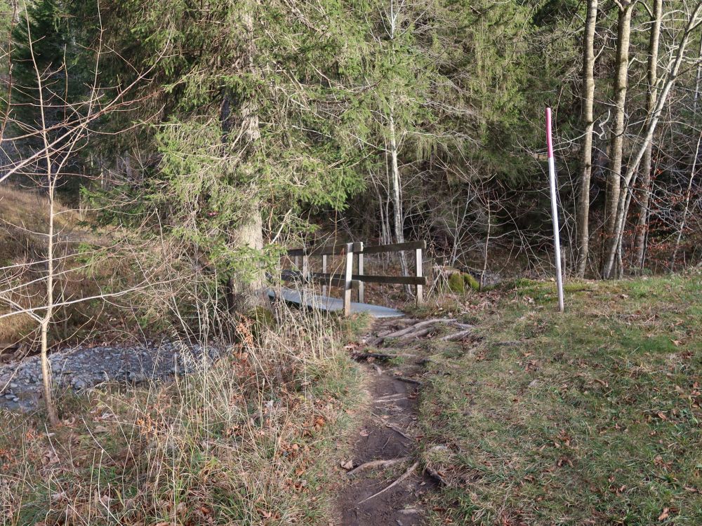 Steg über den Horstbach